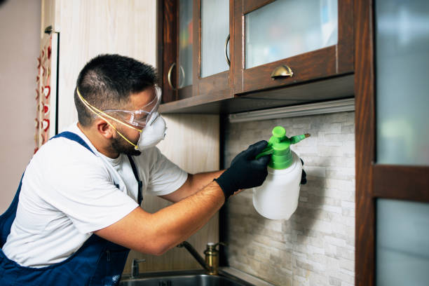 Best Wildlife Control Services  in Harrison, NJ