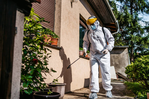 Best Mosquito Control Services  in Harrison, NJ