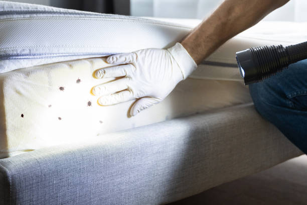 Best Pest Inspection Near Me  in Harrison, NJ