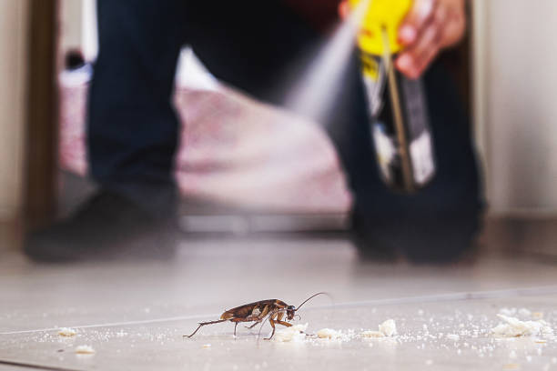 Best Best Pest Control Companies  in Harrison, NJ