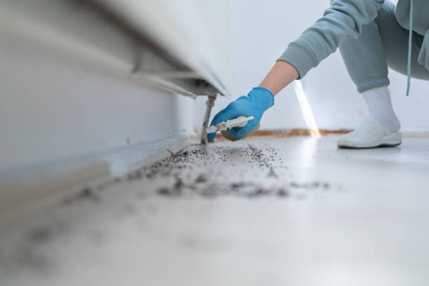 Best Pest Inspection Near Me  in Harrison, NJ